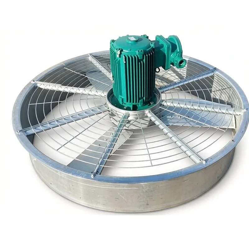 product-800-800 product-800-800
